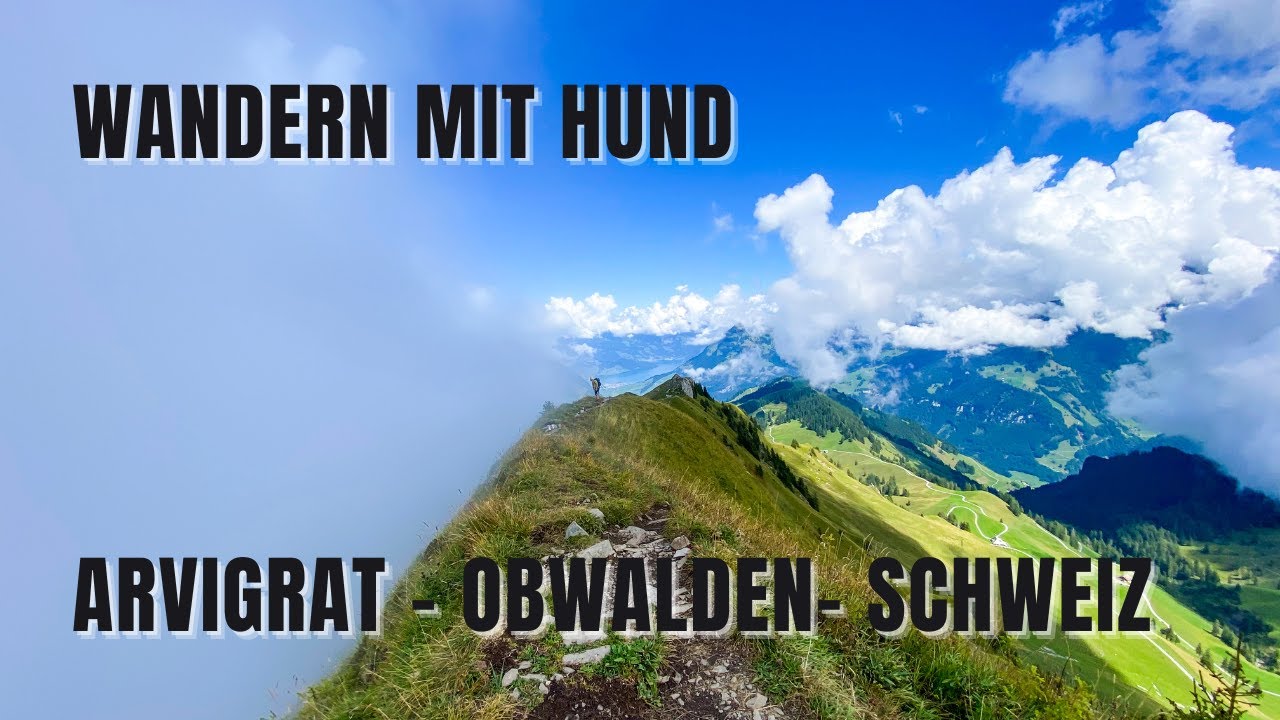 Wandern mit Hund | Vlog | Arvigrat im Kanton Obwalden | Schweiz