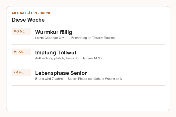 Mein-Konto-Aktualitäten-Feed mit kommenden Terminen für Bruno