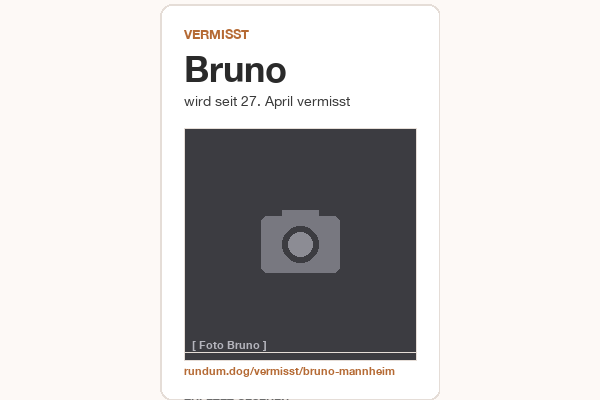Vermisst-Flyer im A5-Format mit Foto-Slot und Kontakt-Daten