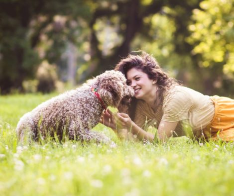 Frau mit Hund auf Wiese liegend, welcher Hund passt zu mir Alltagscheck