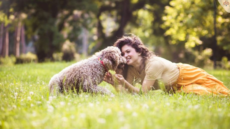 Frau mit Hund auf Wiese liegend, welcher Hund passt zu mir Alltagscheck