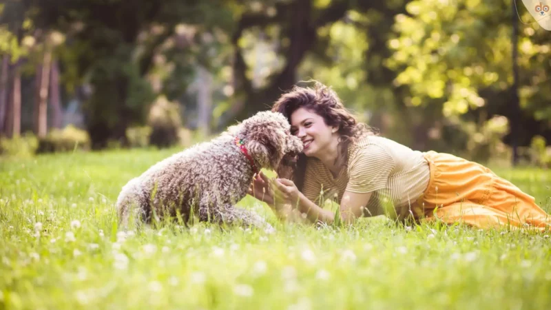 „Welcher Hund passt zu mir?“ Unser Alltags-Check hilft