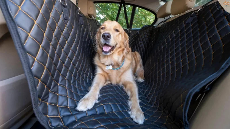 Erste Insassenerkennung für Hunde von Volvo