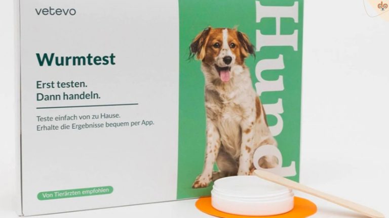Wurmtest für Hund