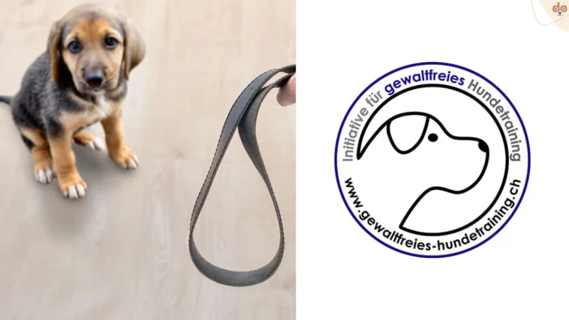 Initiative für gewaltfreies Hundetraining