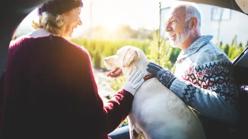Hunde für Senioren – sollte das Alter eine Rolle spielen?