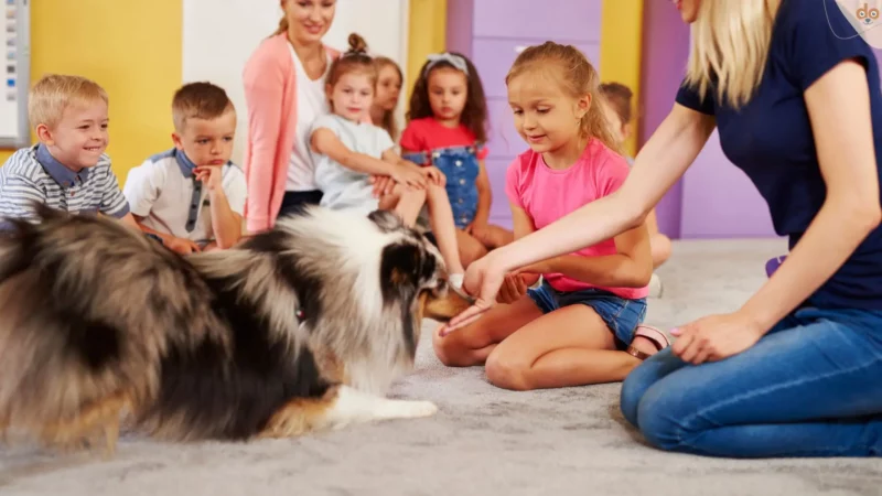 Erfolgreiche Wissensvermittlung in Österreich: So lernen Kinder Tierschutz