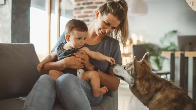 Wie Hunde das Leben von Kindern bereichern