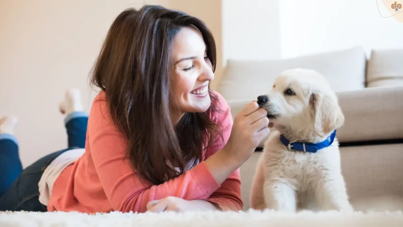 Pawternity Leave oder „Hunde-Elternzeit“: Bezahlter Urlaub für Hundehalter