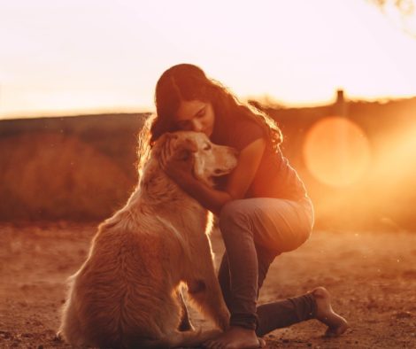 Alter Hund voller Liebe im Sonnenuntergang umarmen
