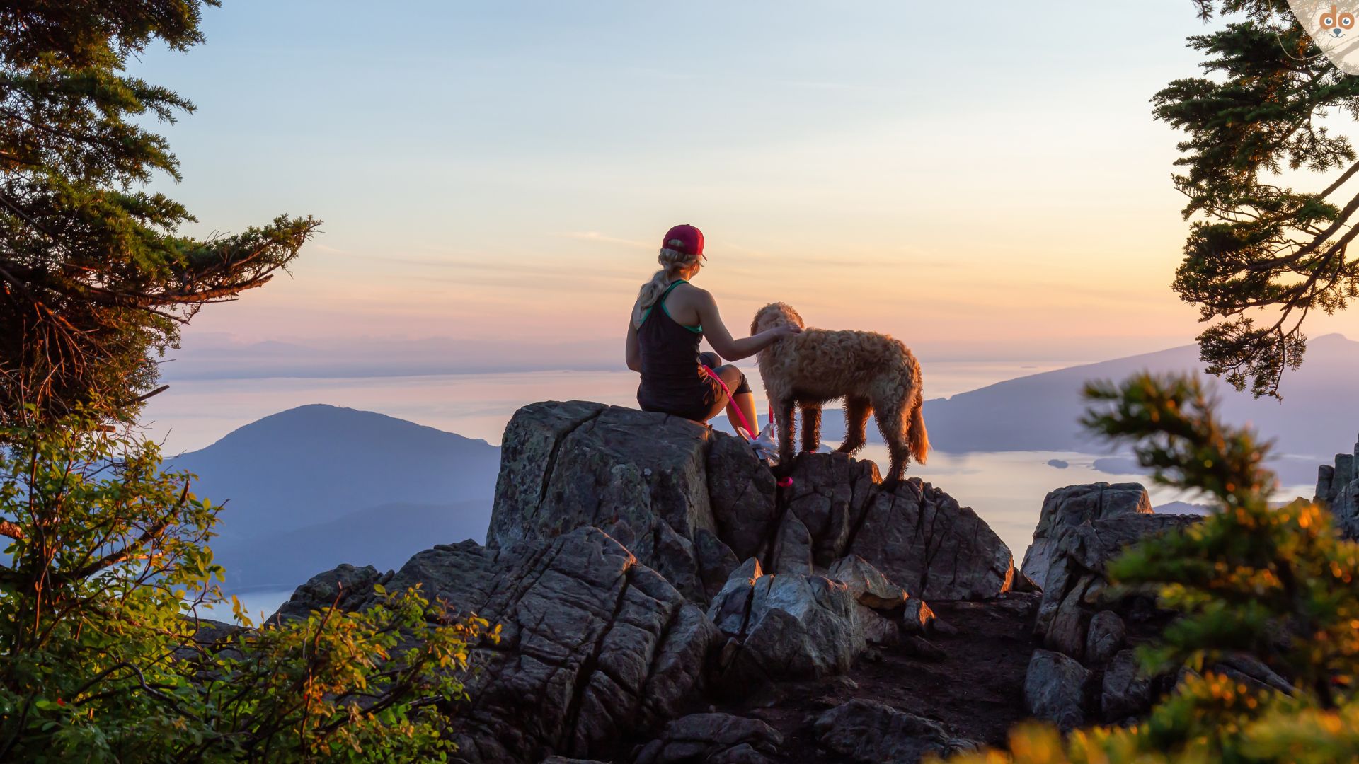 Mit Hund auf Berg, gemeinsam Aussicht und Natur geniessen