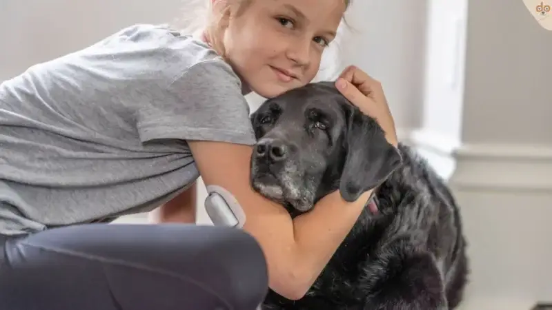 Kind und Hund: Sicherheit, Regeln, Bindung