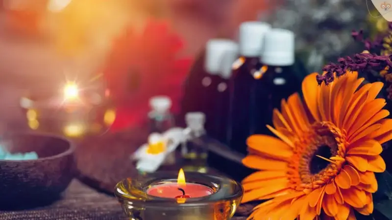 Aromatherapie für Hunde: Einsteiger-Leitfaden