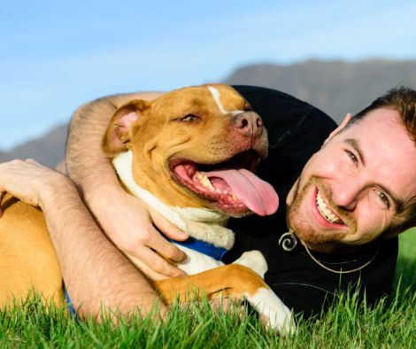 Bester Freund, Mann umarmt Hund auf Wiese, Sammlung von Hundesprüchen