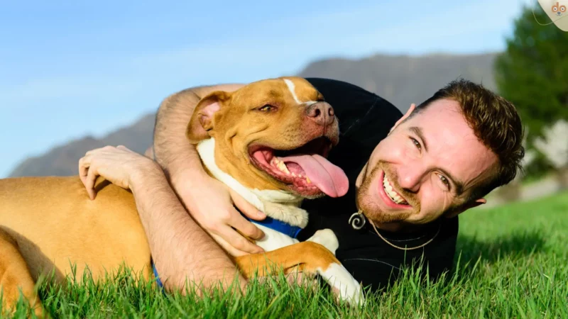 Hundesprüche: von bekannt über lustig bis nachdenklich und traurig