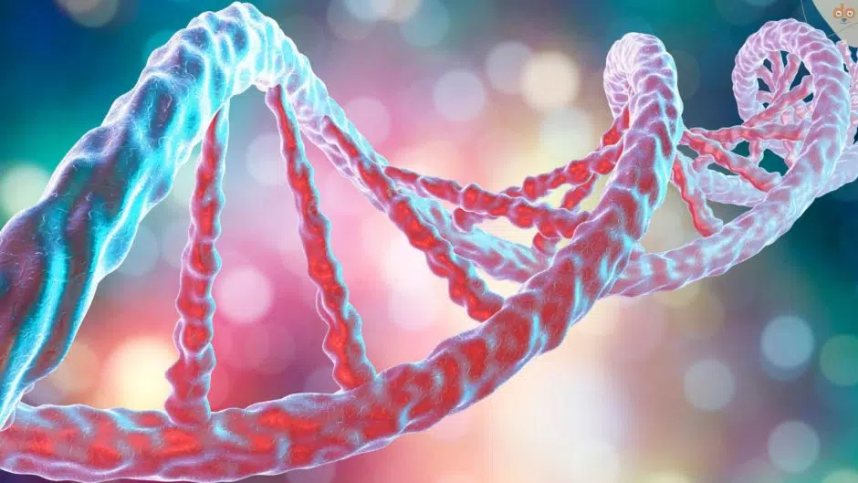 DNA Strang visualisiert
