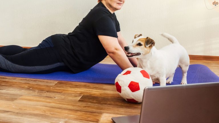 Fitness mit Hund zuhause. Jack Russel, Yoga