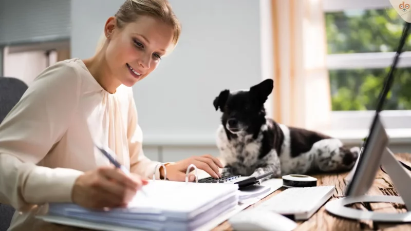 Der persönliche Hundehalter Test: Checkliste vor dem Hundekauf