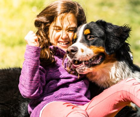 Mädchen mit Berner Sennenhund glücklich am Boden zusammen