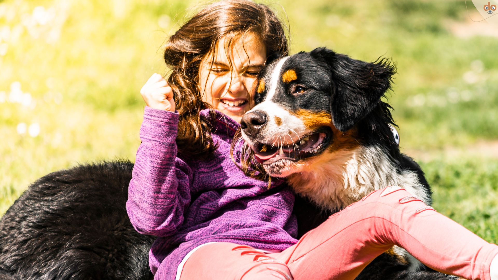 Mädchen mit Berner Sennenhund glücklich am Boden zusammen