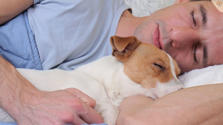 Mann schläft mit Hund im Bett