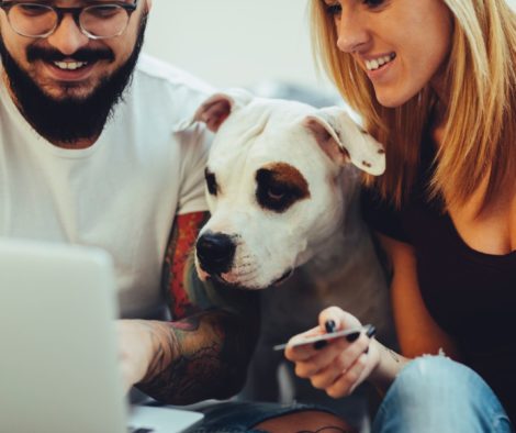 Shopping mit Hund am Computer