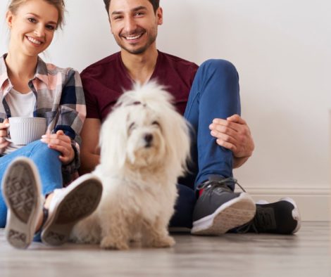 Umzug mit Hund. Familie entspannt