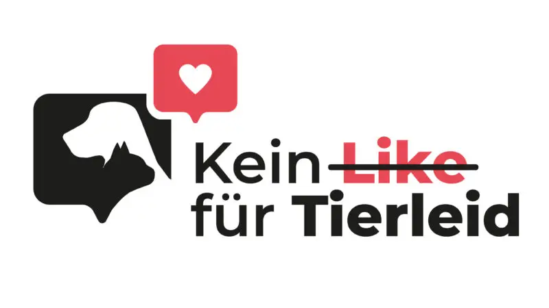 Qualzucht stoppen: Ethische Zucht vs. Tierleid