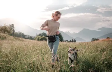 Alexa und die Hunde – Individuelles, privates Hund-Mensch-Training