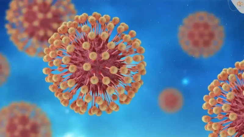 Übersicht zum Canine Herpesvirus bei Hundewelpen