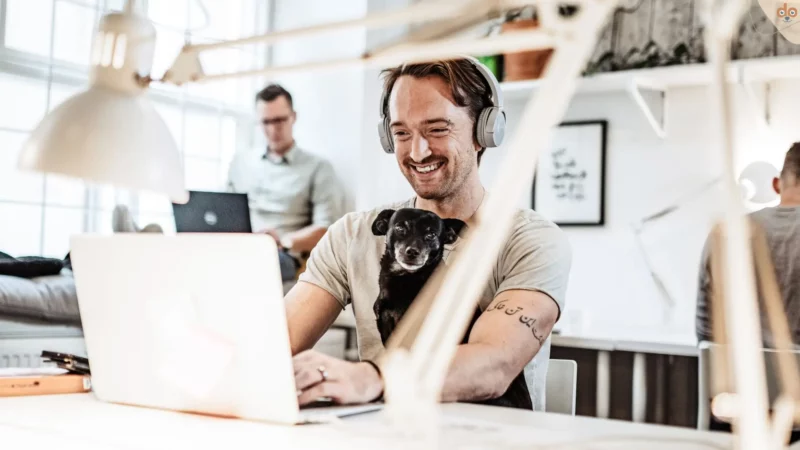Was Du am „Take Your Dog To Work Day“ tun und lassen solltest