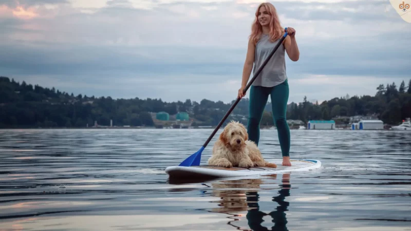 Abenteuer auf dem Wasser durch Stand Up Paddle mit Hund