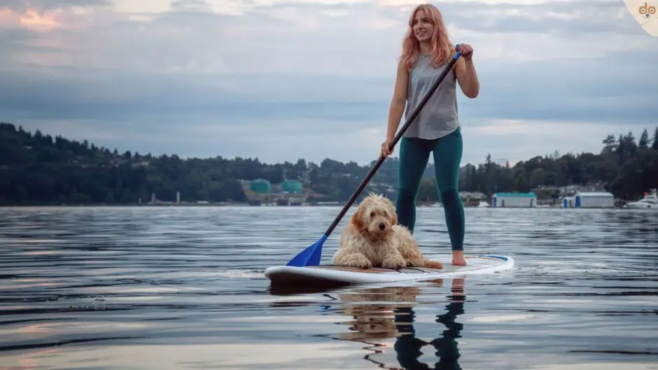 Hund und Frau auf See mit StandUp Paddle