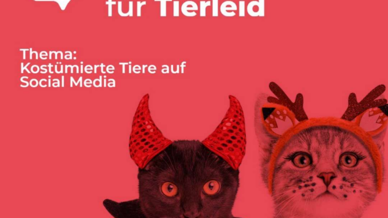 Kostümierung