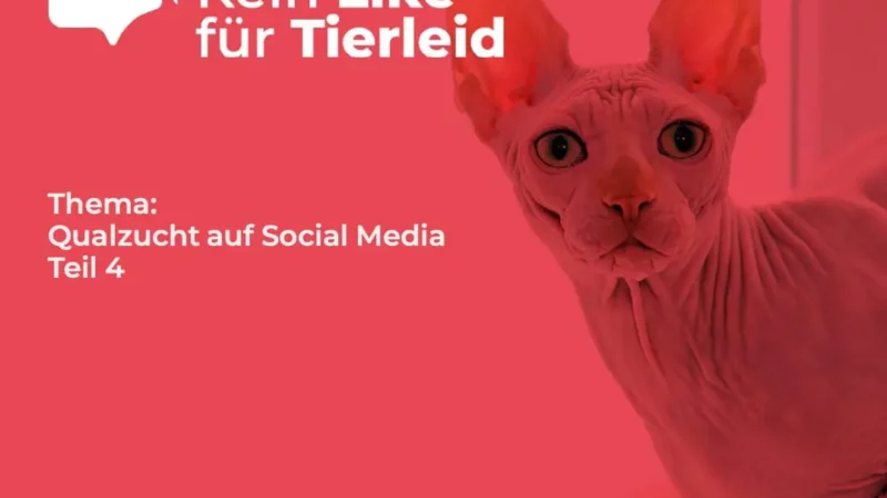 Nackttiere