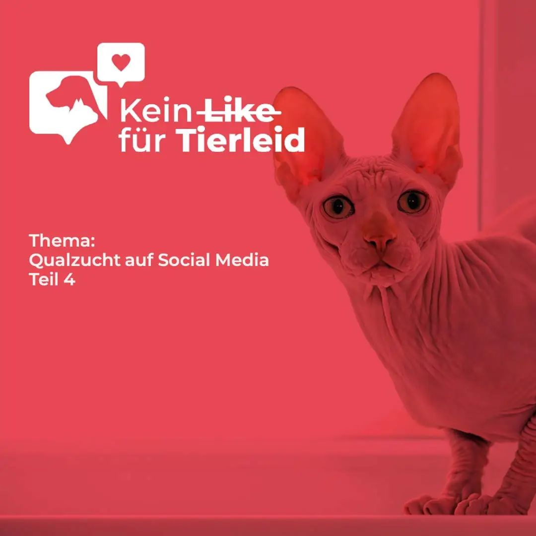 nackttiere hauptbild