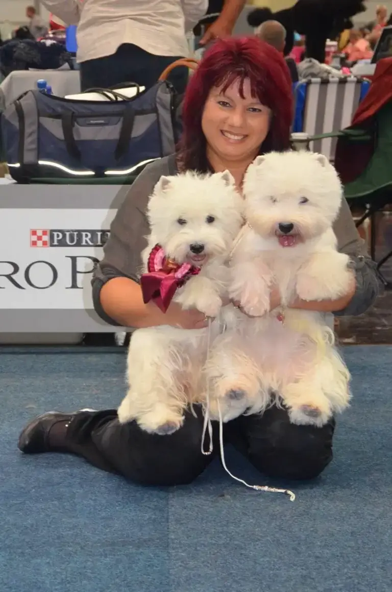 Annamaria's Hundesalon - Foto Annamaria
