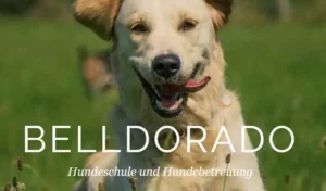 Logo Belldorado – Hundeschule und Hundebetreuung