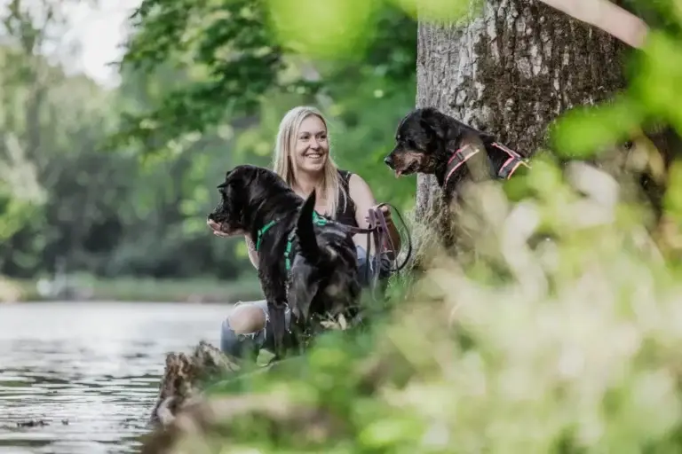 City Dogs Stuttgart - city dogs team