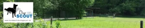 Logo Dog-Scout Hundeschule – Kirchheim/Teck