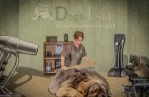 Logo Dogs-Inside – der individuelle Hundesalon