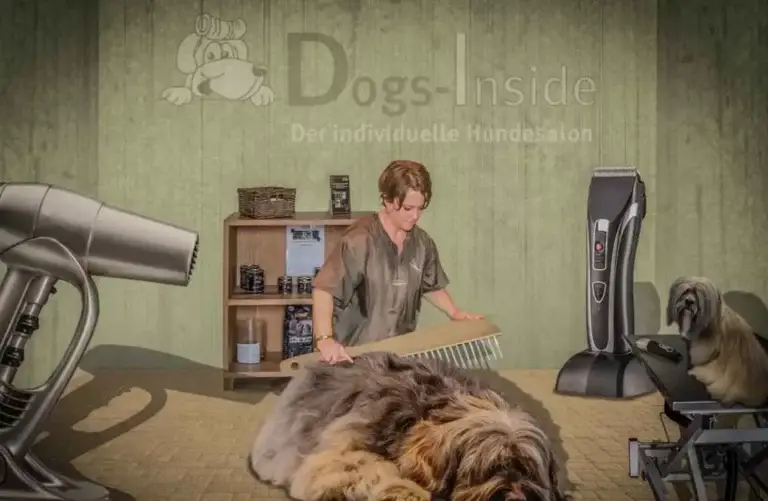 Dogs-Inside - der individuelle Hundesalon - dogs inside hundesalon