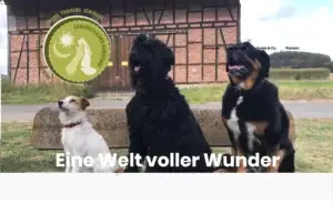 Logo Ganzheitlicher Hof