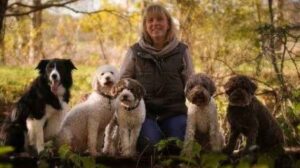 Logo HAZE – HundeAusbildungsZentrum Emsland