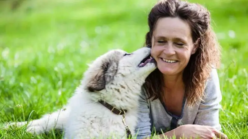 Hundeschule Weißgerber