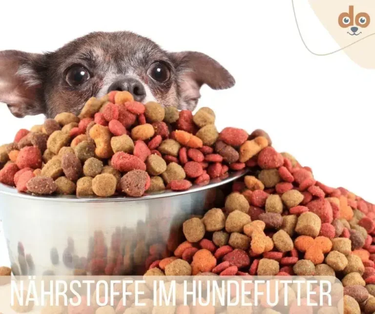 Nährstoffe & Bedarf