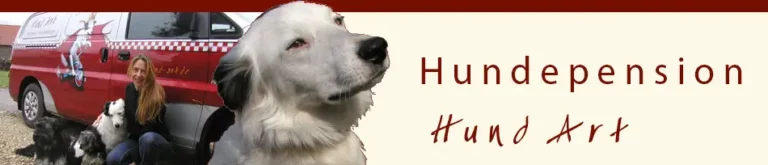 Hundepension Hund Art - hundepension hund art