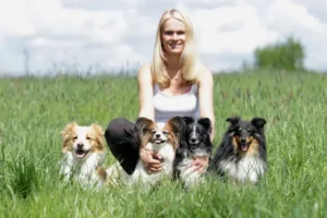 Logo Hundeschule Fröhlingsdorf