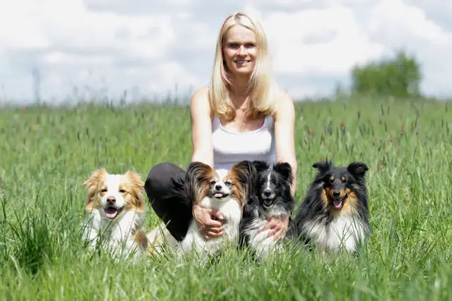 Hundeschule Fröhlingsdorf - hundeschule froehlingsdorf image2
