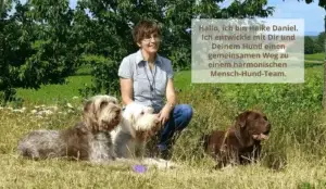 Logo Hundeschule Heike Daniel – Hundeerziehung und Verhaltensberatung